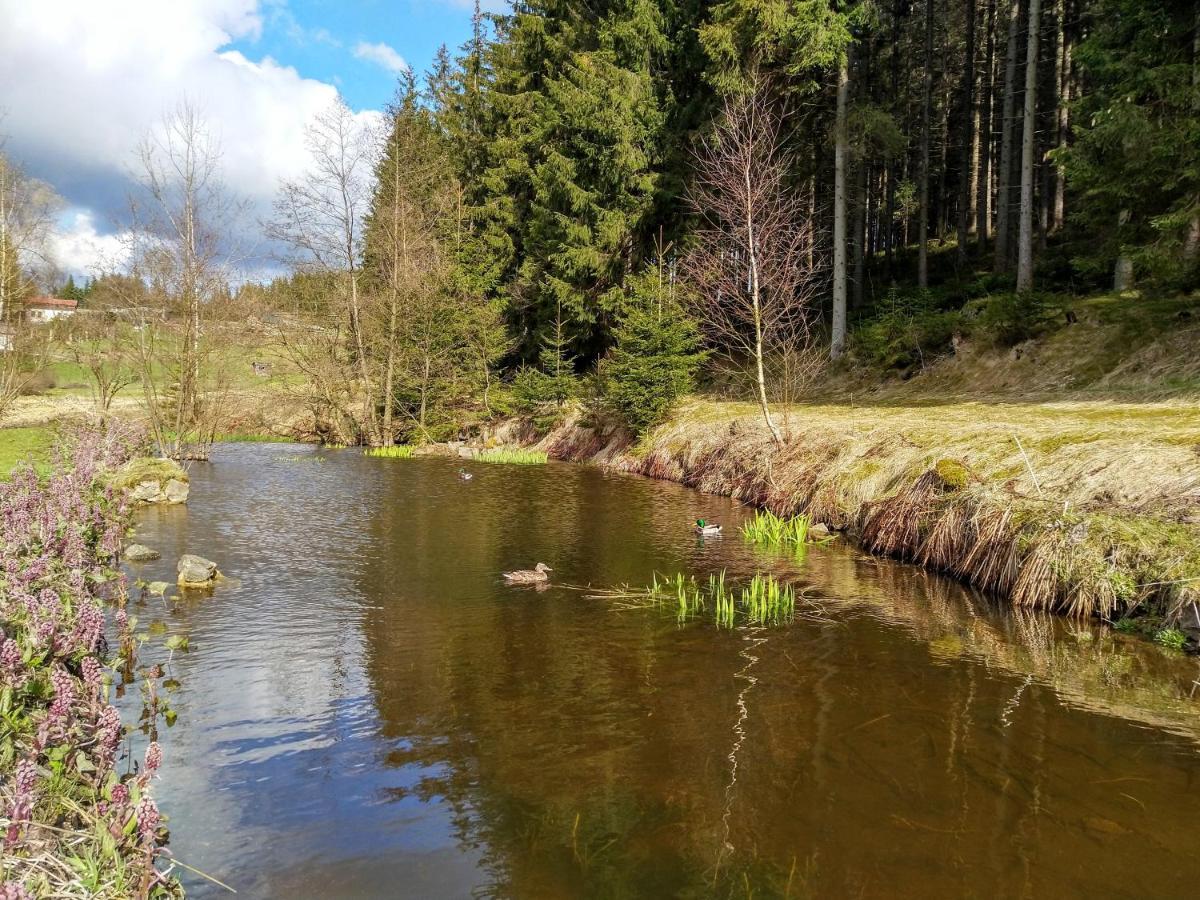 Penzion Karolína Lučany nad Nisou Exterior foto