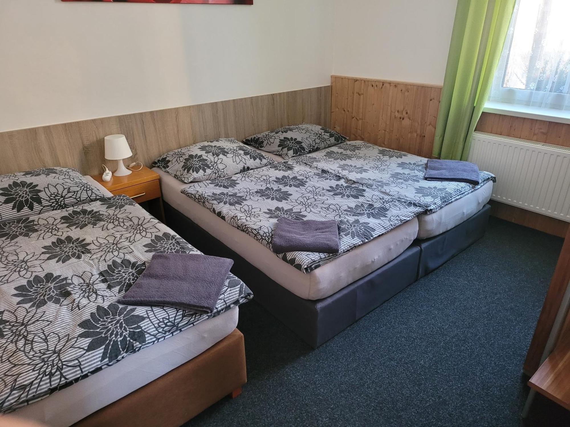Penzion Karolína Lučany nad Nisou Exterior foto