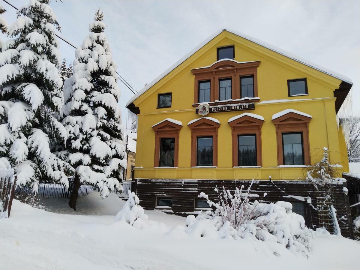 Penzion Karolína Lučany nad Nisou Exterior foto