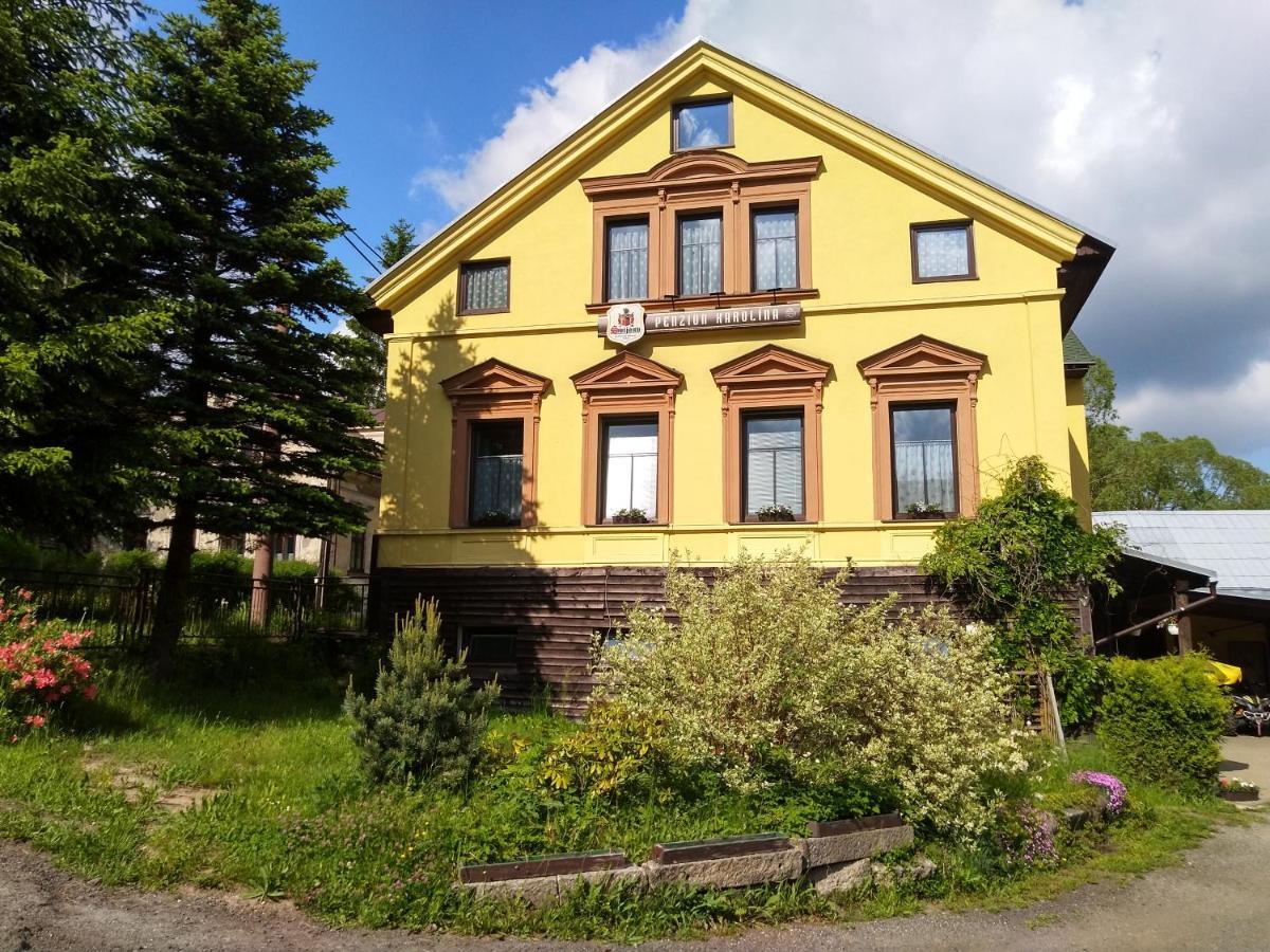 Penzion Karolína Lučany nad Nisou Exterior foto